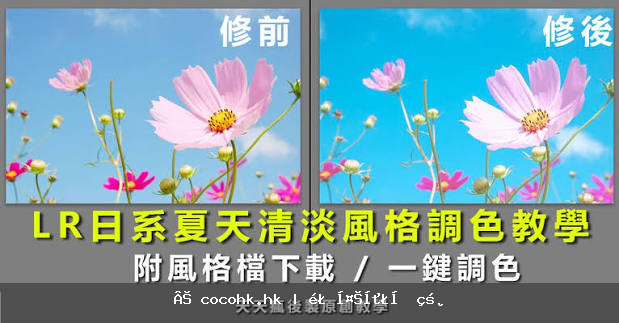 調色素材05